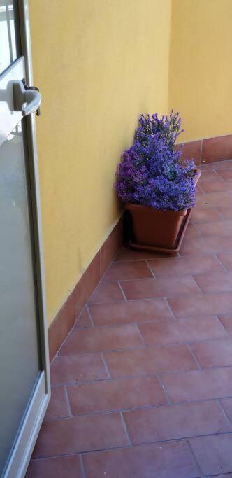 Borgo San Giorgio Apartment Castelmola Eksteriør bilde